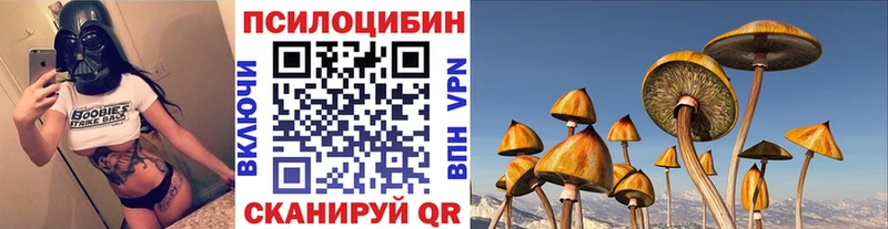 Купить закладки  Серов  Псилоцибиновые грибы мухоморы 